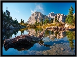 Włochy, Tyrol, Góry, Dolomity, Jezioro, Lago Limides, Drzewa, Suchy, Konar, Odbicie