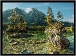 Góry, Drzewa, Kamienie, Woda