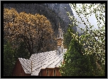 Kaplica, Góry, Las