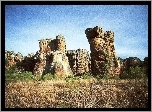 Góry, Krzewy