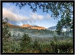 Góry, Drzewa, Krzewy, Trawy
