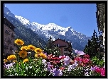 Góry, Domy, Kwiaty, Chamonix