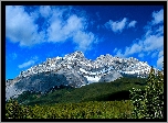 Góry, Las