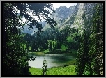 Las, Góry, Jezioro