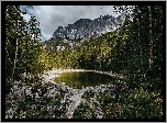 Góry, Jezioro, Las, Drzewa