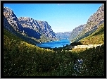 Las, Góry, Jezioro
