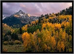 Stany Zjednoczone, Kolorado, Mount Sneffels, Jesień, Góry, Las, Drzewa, Chmury, Niebo