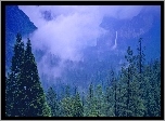 Las, Góry, Mgła
