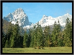 Góry, Śnieg, Las, Łąka