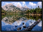 Park Narodowy Grand Teton, Wyoming, Stany Zjednoczone, Góry, Jezioro, Taggart Lake, Las, Drzewa, Chmury Odbicie