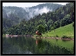 Góry, Karpaty, Rzeka, Lasy, Dom