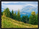 Góry, Lasy, Mgła, Panorama