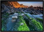 Morze, Skały, Kamienie, Glony, Wodorosty, Góry, Wybrzeże, Plaża, Mouthmill Beach, Devon, Anglia