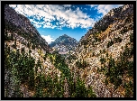 Góry San Juan Mountains, Szczyt Uncompahgre Peak, Drzewa, Chmury, Stan Kolorado, Stany Zjednoczone
