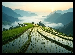 Pole, Tarasy ryżowe, Góry, Mgła, Niebo