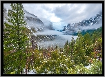 Góry Sierra Nevada, Śnieg, Drzewa, Mgła, Chmury, Park Narodowy Yosemite, Kalifornia, Stany Zjednoczone
