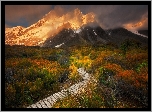 Nowa Zelandia, Park Narodowy Góry Cooka, Szlak Hooker Valley, Góry, Góra Cooka, Roślinność, Dróżka