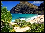 Góry, Morze, Plaża, Roślinność, Oahu, Hawaje