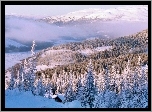 Góry, Chmury, Ośnieżony, Las