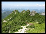 Gry, Ziele, Kosodrzewina, Ostace, Tatry