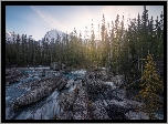 Góry, Canadian Rockies, Park Narodowy Yoho, Kolumbia Brytyjska Kanada, Drzewa, Las, Rzeka, Skały