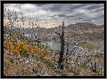 Góry, Drzewa, Jezioro, Park Narodowy Torres del Paine, Patagonia, Chile