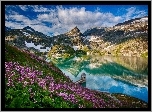 Austria, Weisssee, Góry, Alpy, Jezioro, Różowe, Kwiaty