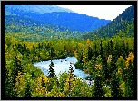 Góry, Lasy, Rzeka, Alaska