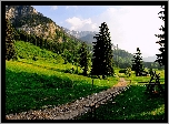 Góry, Ruiny, Zamku, Ścieżka, Schwangau, Niemcy