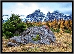 Góry, Las, Drzewa, Kamień, Skała, Jesień