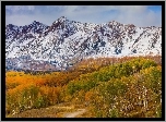 Stany Zjednoczone, Stan Kolorado, Jesień, Góry, Przełęcz Ohio Pass, Drzewa, Lasy, Droga