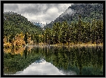 Góry Skaliste, Drzewa, Jezioro, Officers Gulch Pond, Kolorado, Stany Zjednoczone