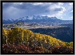 Góry, San Juan Mountains, Jesień, Las, Drzewa, Kolorado, Stany Zjednoczone