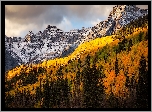 Góry, San Juan Mountains, Lasy, Drzewa, Jesień, Kolorado, Stany Zjednoczone