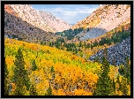 Góry, Drzewa, Lasy, Jesień, Wąwóz, Lundy Canyon, Kalifornia, Stany Zjednoczone
