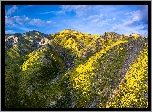 Góry, Rezerwat przyrody, Carrizo Plain National Monument, Kalifornia, Stany Zjednoczone