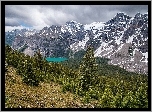 Góry, Lasy, Stok, Jezioro