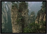 Strome, Góry, Drzewa