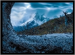 Park Narodowy Torres del Paine, Chile, Drzewo, Góry