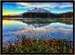 Góry, Jezioro, Las, Trawa, Banff