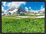 Góry, Trawa
