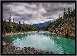 Rzeka Athabaskana, Góry, Skały, Świerki, Kamienie, Park Narodowy Jasper, Alberta, Kanada