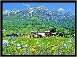 Góry, Lasy, Łąka, Wioska, Steinalmdorf