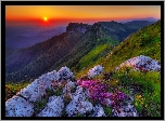 Góry, Kamienie, Kwiatki, Bałkański, Wschód, Słońca