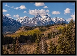 Góry, Absaroka Range, Szczyty, Drzewa, Wzgórza, Wyoming, Stany Zjednoczone