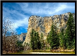 Stany Zjednoczone, Stan Kalifornia, Park Narodowy Yosemite, Góry, Drzewa