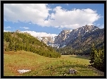 Zakopane, Góry, Łąka