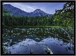 Góry, Jezioro, Las, Liście, Zmierzch, Drzewa