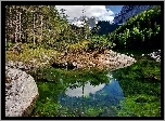 Jezioro, Gosau, Las, Góry, Światło, Cień, Odbicie