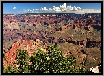 Stany Zjednoczone, Arizona, Park Narodowy Wielkiego Kanionu, Grand Canyon National Park, Kanion, Góry, Skały, Drzewa